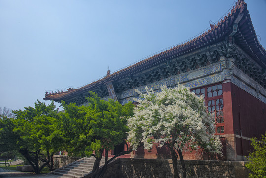 岱庙