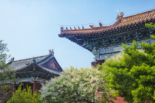 岱庙
