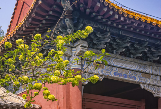 岱庙