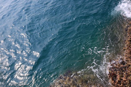 海水
