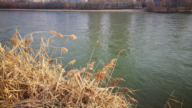 冬季的黄河