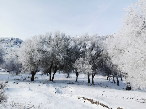 新疆雪景