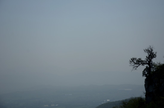 高山门洞石洞悬崖古树