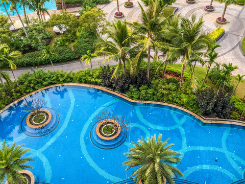 热带度假区泳池酒店