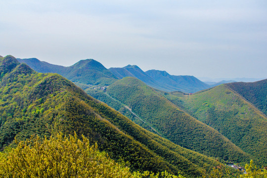 南山竹海