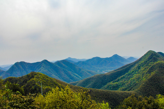 南山竹海