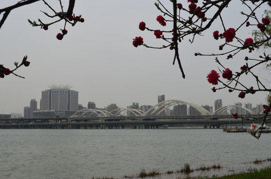 灞河新景