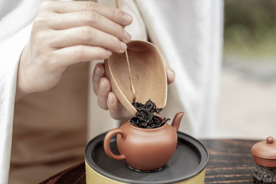 茶艺师正在泡茶
