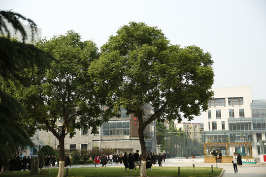 北京青年政治学院