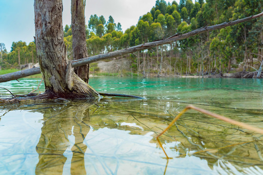 茂名露天矿公园清澈的水