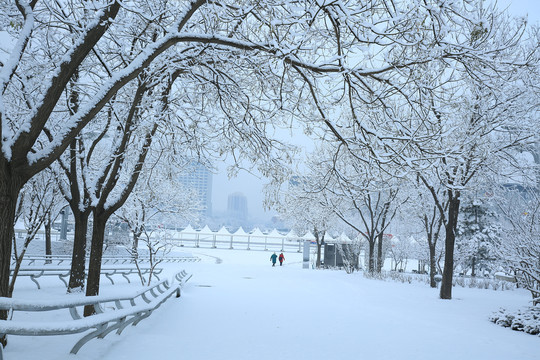 冬天雪景