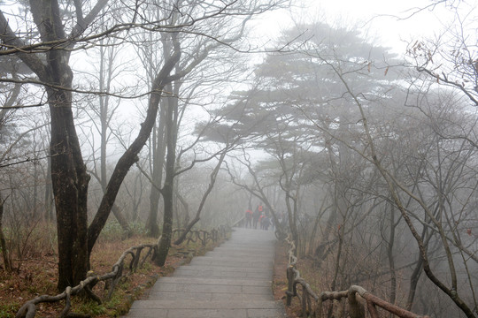 黄山登山道