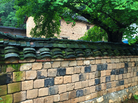 农村的矮墙