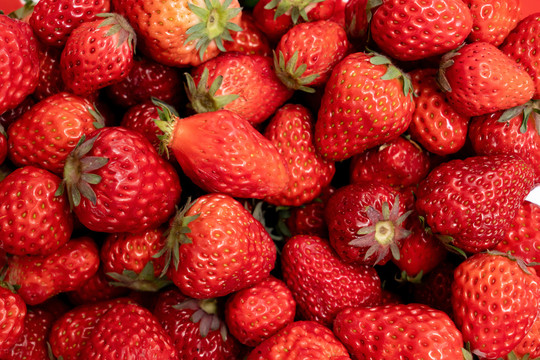 草莓创意水果维生素c平铺