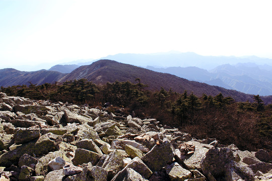 草链岭