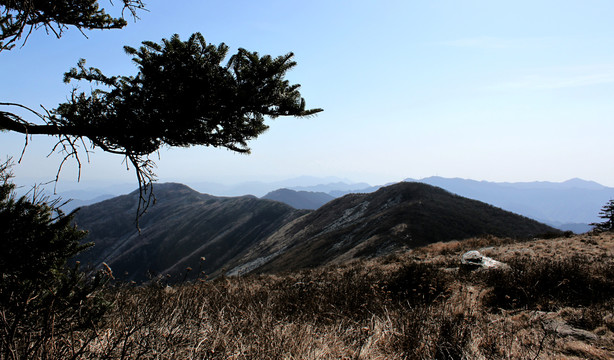 草链岭