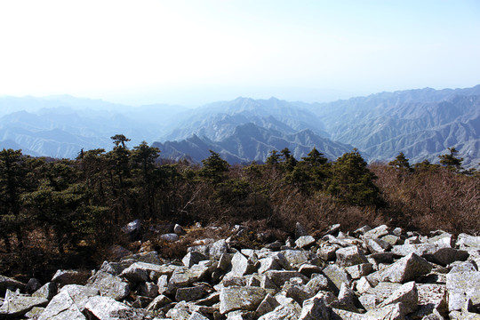 草链岭