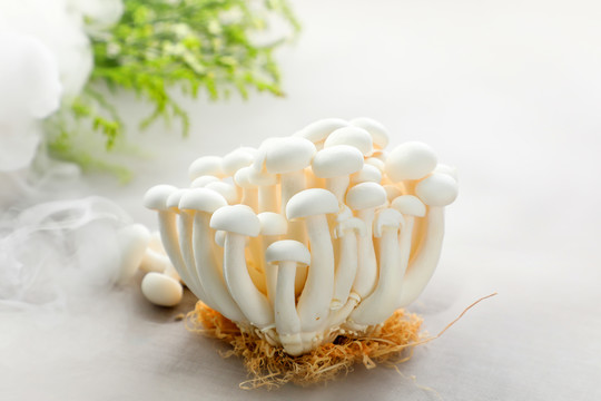 金针菇