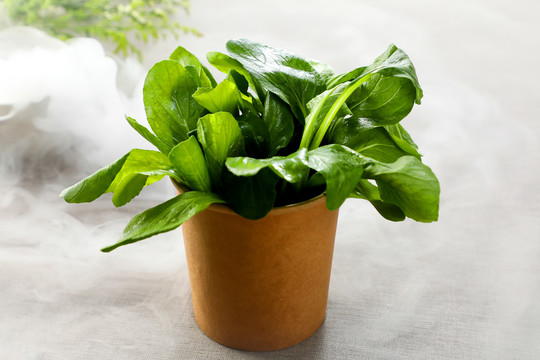 油菜