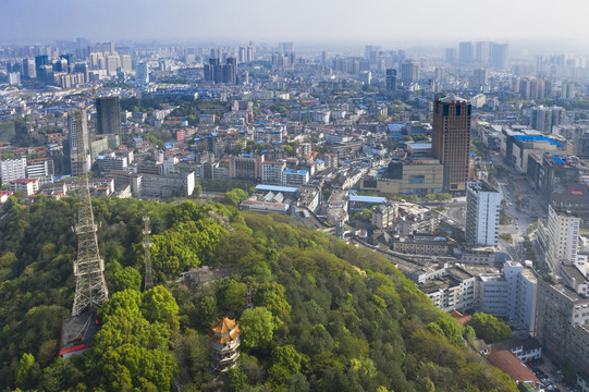 森林城市