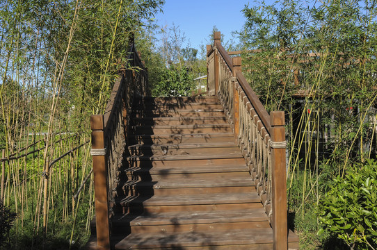 园林木桥
