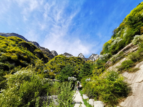 秦岭玉山风光