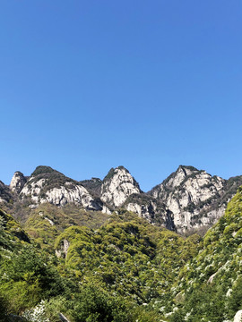 秦岭王顺山风光