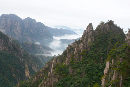 水墨黄山