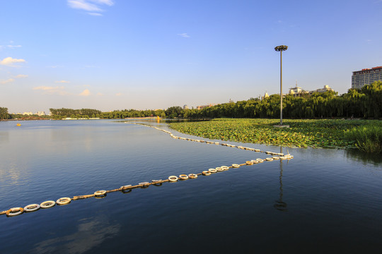 北京玉渊潭公园