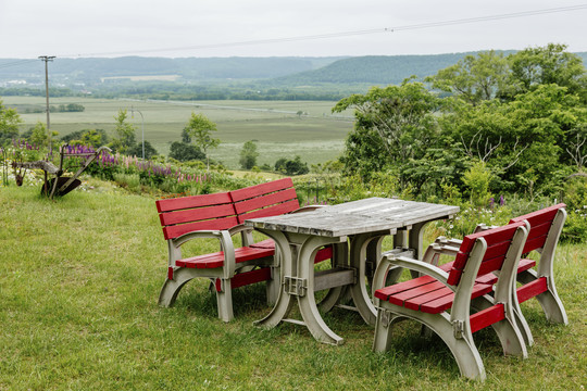 花园里的红椅子和木桌子
