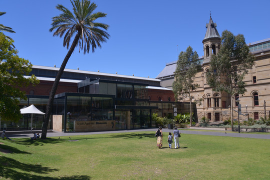 南澳大利亚博物馆
