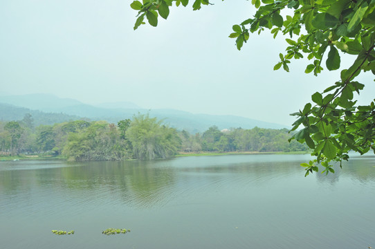 清迈湖景
