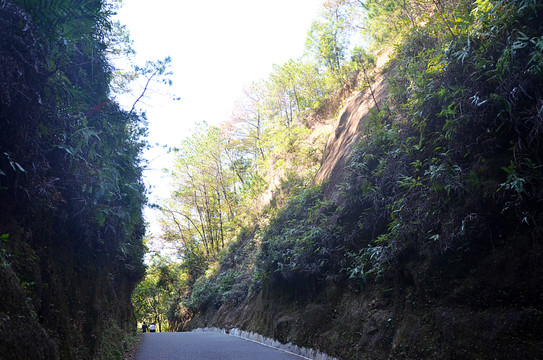 山间道路