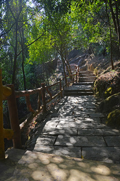 登山路