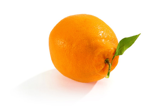 丑橘丑柑粑粑柑