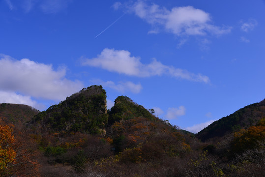 日本南岛