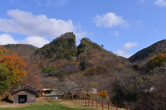 日本南岛