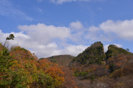 日本南岛