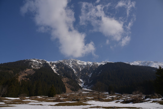 瑞士达沃斯-科洛斯特自然景观