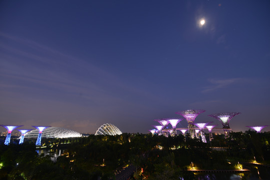 滨海湾夜景