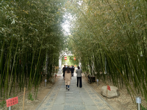 竹林小道