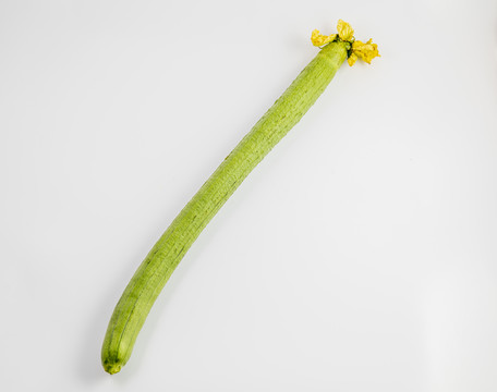 丝瓜