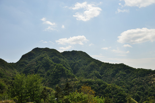 映山红盛开时的大山风光