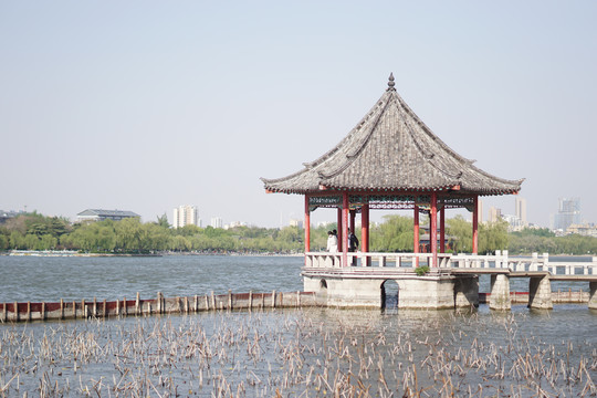 大明湖公园