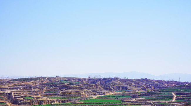 梯田田地