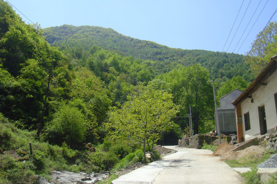 秦岭山村