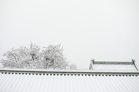 雪中宫墙