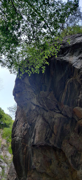 秦岭山断层岩石