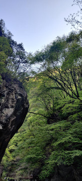 秦岭山风光