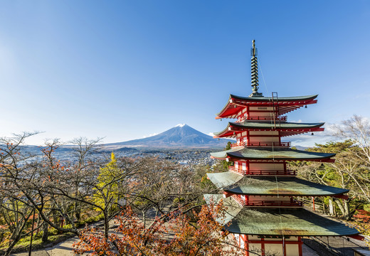 日本山梨县荒山森根公园